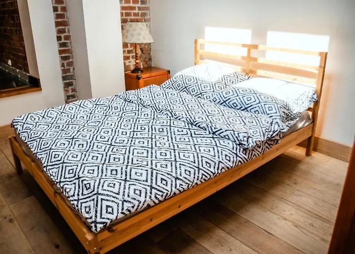 Redcity Loft 25 * ז'ירארדוב