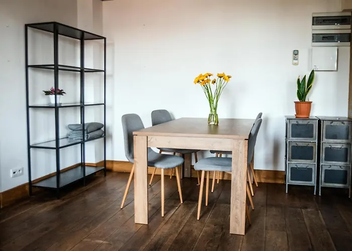 Redcity Loft 25 * ז'ירארדוב